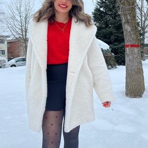 Aritzia teddy coat oversized short